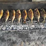 Leon * Šibuljina