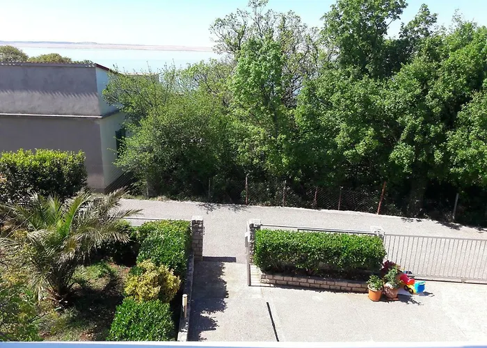 Leon & Grga * Šibuljina