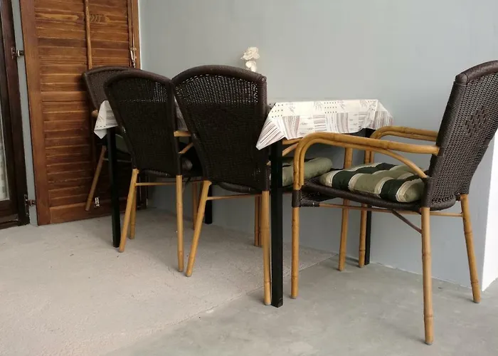 Leon & Grga * Šibuljina