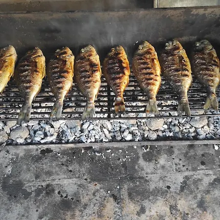 Leon & Grga * Šibuljina